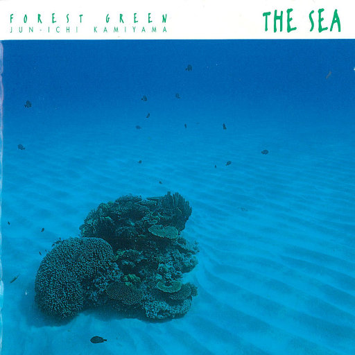 啊啊啊啊好舒服嗯嗯好想操你
